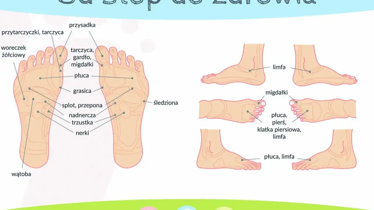 Schemat stóp z punktami do akupresury. Pokazuje punkty odpowiadające narządom: płuca, nerki, wątroba, migdałki.