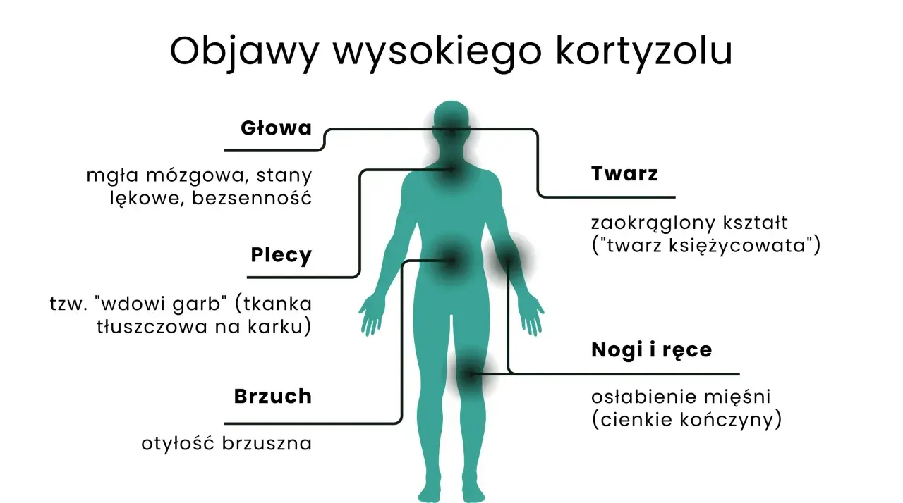 Objawy wysokiego kortyzolu: mgła mózgowa, garb, otyłość brzuszna, księżycowata twarz, osłabienie mięśni.