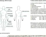 Schemat ciała z zaznaczonymi obszarami bólu, pomocny w ocenie fibromialgii.
