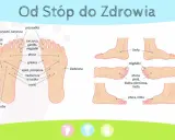 Schemat stóp z punktami do akupresury. Pokazuje punkty odpowiadające narządom: płuca, nerki, wątroba, migdałki.