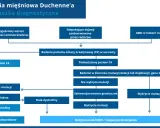 Schemat diagnostyczny dystrofii mięśniowej Duchenne'a: od objawów i badań CK po analizę mutacji genu DMD.
