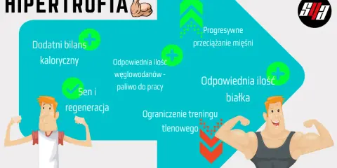 Kluczowe czynniki do osiągnięcia hipertrofii: dodatni bilans kaloryczny, odpowiednia ilość węglowodanów i białka, sen, regeneracja, progresywne przeciążanie mięśni i ograniczenie treningu tlenowego.