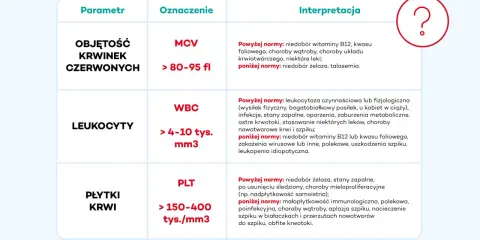 Tabela z parametrami morfologii z rozmazem: MCV, WBC, PLT. Podano normy i interpretacje wyników.