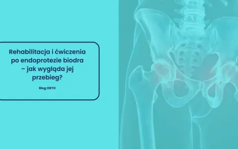 Rehabilitacja po endoprotezie stawu biodrowego: jak długo trwa i jak wygląda jej przebieg? Grafika przedstawia miednicę i staw biodrowy.