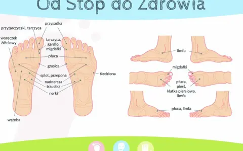 Schemat stóp z punktami do akupresury. Pokazuje punkty odpowiadające narządom: płuca, nerki, wątroba, migdałki.