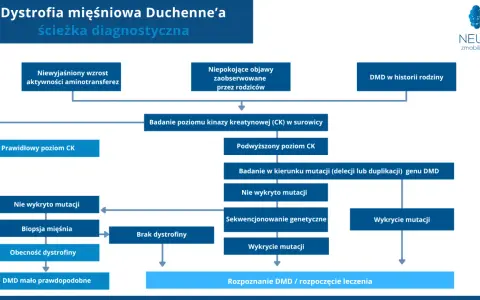 Schemat diagnostyczny dystrofii mięśniowej Duchenne'a: od objawów i badań CK po analizę mutacji genu DMD.