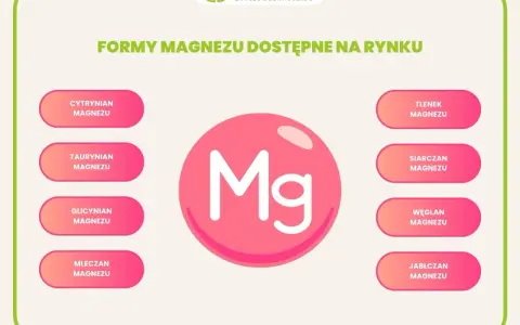 Glicynian magnezu na co? Grafika przedstawia różne formy magnezu dostępne na rynku, w tym glicynian magnezu.
