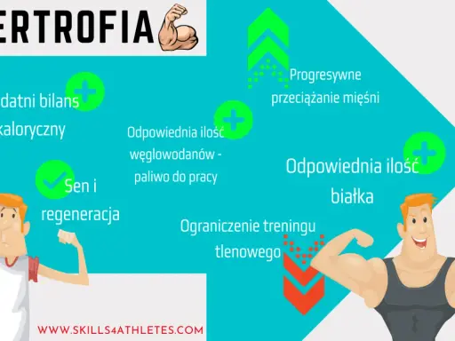 Kluczowe czynniki do osiągnięcia hipertrofii: dodatni bilans kaloryczny, odpowiednia ilość węglowodanów i białka, sen, regeneracja, progresywne przeciążanie mięśni i ograniczenie treningu tlenowego.