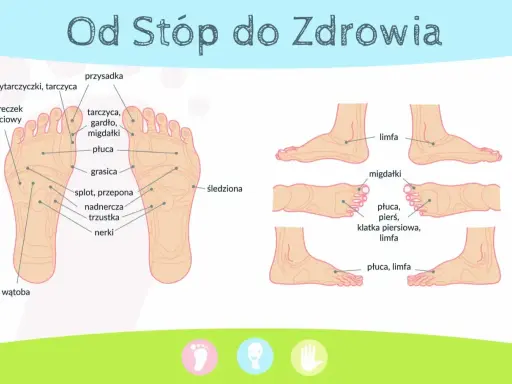 Schemat stóp z punktami do akupresury. Pokazuje punkty odpowiadające narządom: płuca, nerki, wątroba, migdałki.