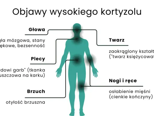 Objawy wysokiego kortyzolu: mgła mózgowa, garb, otyłość brzuszna, księżycowata twarz, osłabienie mięśni.
