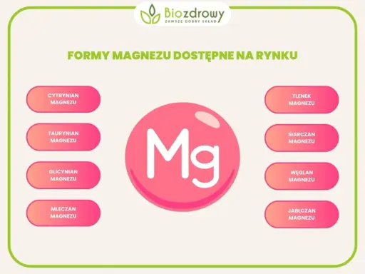 Glicynian magnezu na co? Grafika przedstawia różne formy magnezu dostępne na rynku, w tym glicynian magnezu.