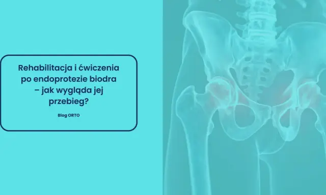 Rehabilitacja po endoprotezie stawu biodrowego: jak długo trwa i jak wygląda jej przebieg? Grafika przedstawia miednicę i staw biodrowy.