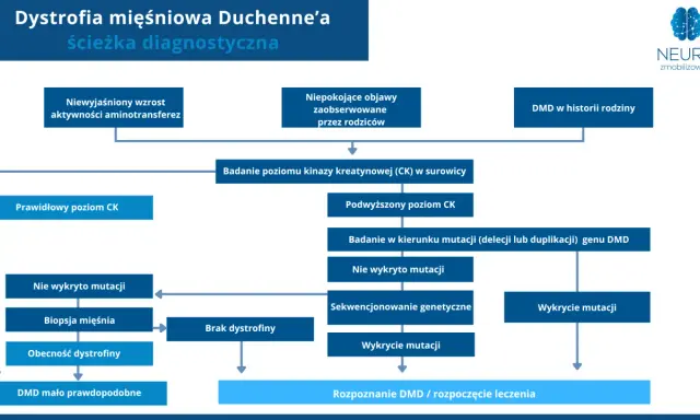 Schemat diagnostyczny dystrofii mięśniowej Duchenne'a: od objawów i badań CK po analizę mutacji genu DMD.