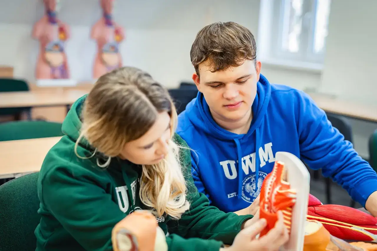 Studenci fizjoterapii analizują modele anatomiczne. Czas na studia magisterskie fizjoterapia do kiedy?
