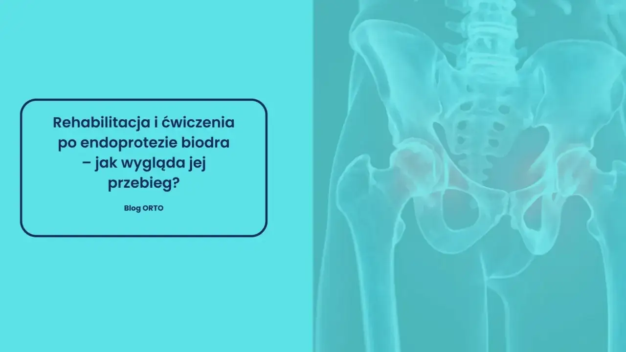 Rehabilitacja po endoprotezie biodra: jak długo trwa i jak wygląda jej przebieg? Grafika przedstawia miednicę i stawy biodrowe.