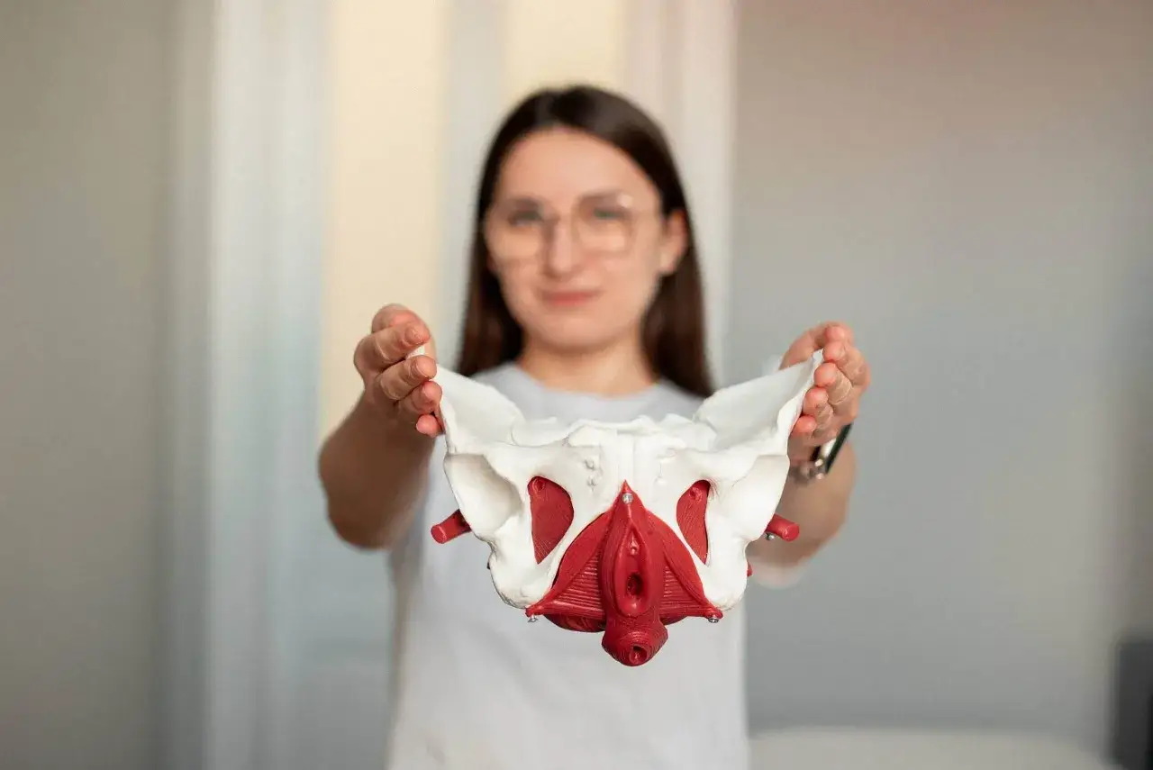 Fizjoterapeutka pokazuje model miednicy. Z czym do fizjoterapeuty? Z problemami dna miednicy, które można rozwiązać.