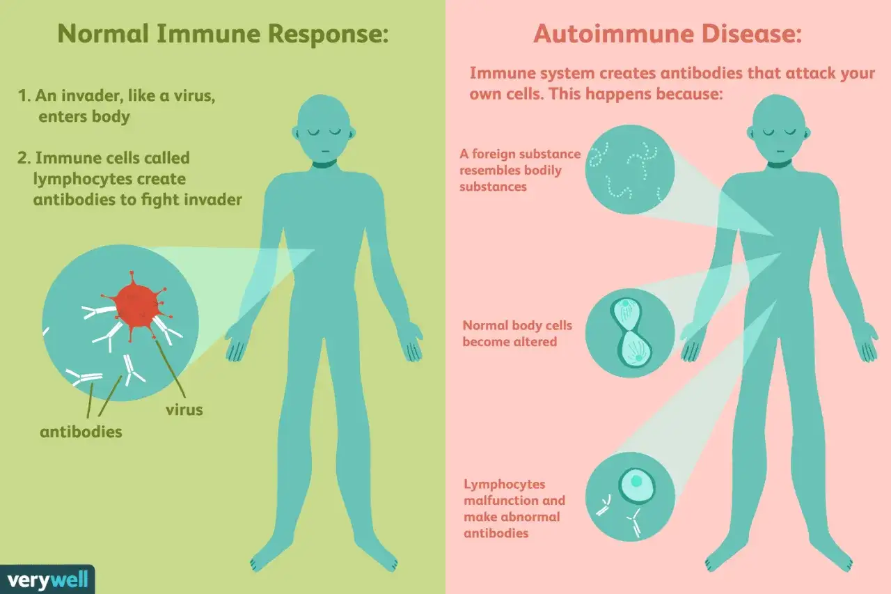Ilustracja porównuje prawidłową odpowiedź immunologiczną z chorobami autoimmunologicznymi, gdzie układ odpornościowy atakuje własne komórki.