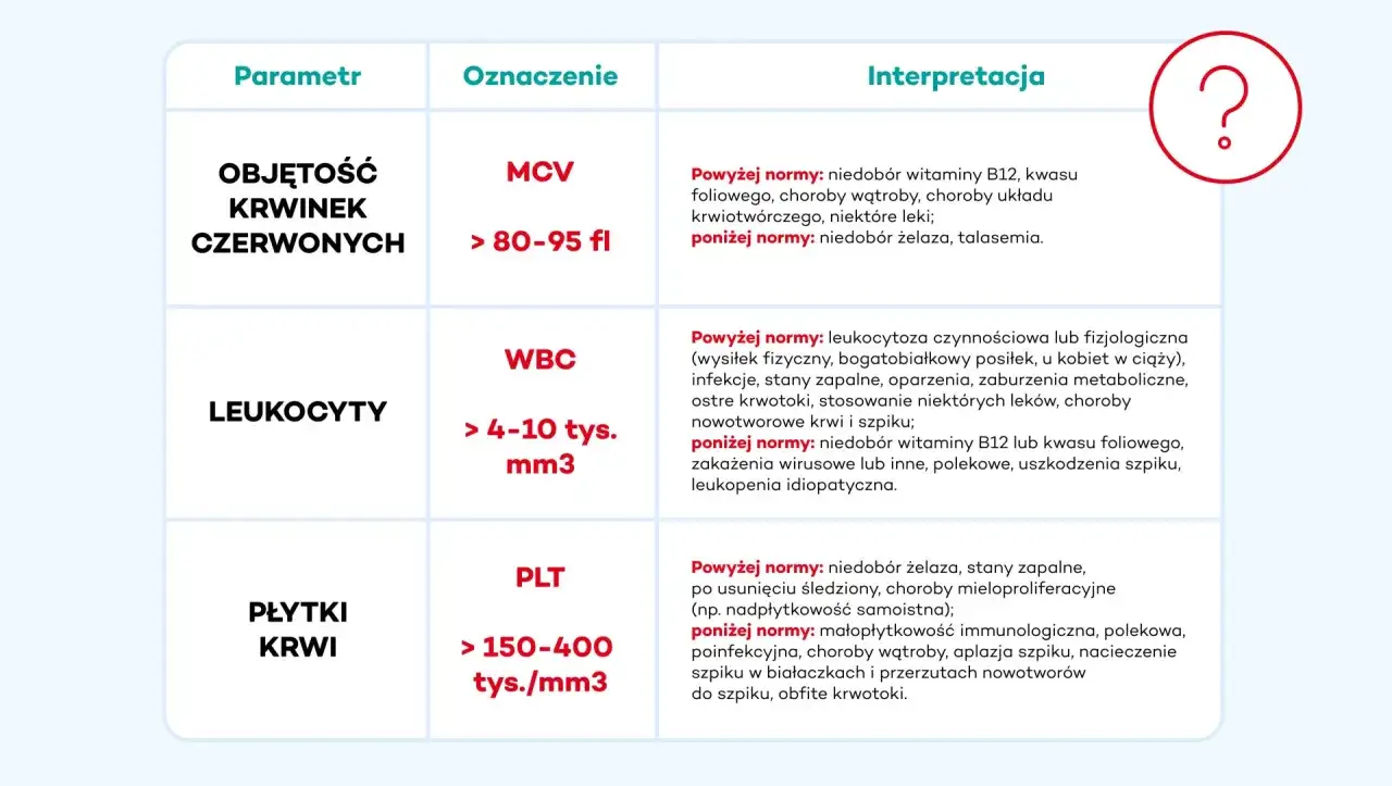 RBC morfologia: MCV (objętość krwinek czerwonych) i WBC (leukocyty) - co to jest i jakie są normy.
