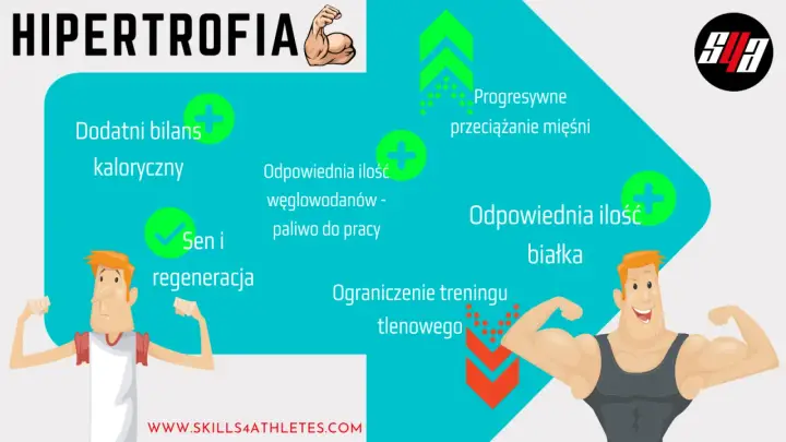 Kluczowe czynniki do osiągnięcia hipertrofii: dodatni bilans kaloryczny, odpowiednia ilość węglowodanów i białka, sen, regeneracja, progresywne przeciążanie mięśni i ograniczenie treningu tlenowego.